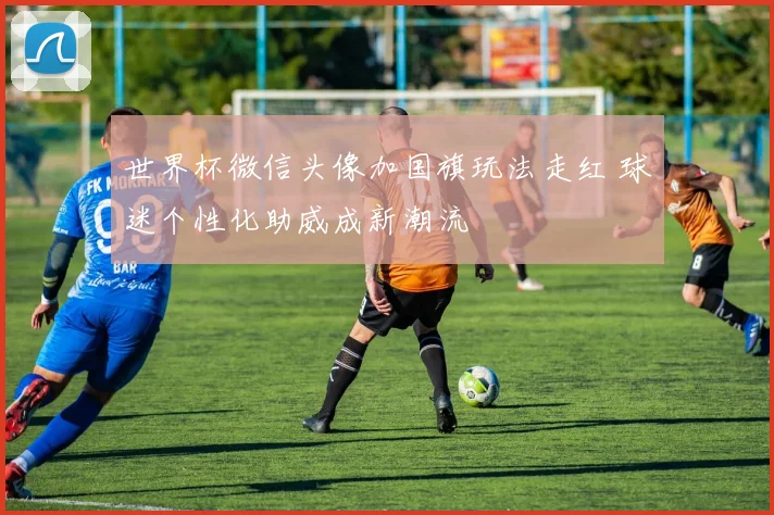 世界杯微信头像加国旗玩法走红 球迷个性化助威成新潮流